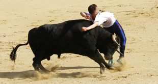 Encierrro en San Agustín de Guadalix