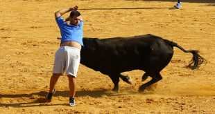 Toros en Boadilla del Monte