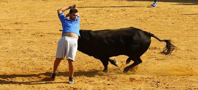 Toros en Boadilla del Monte