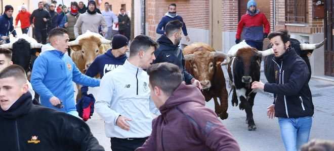 Encierro Ajalvir