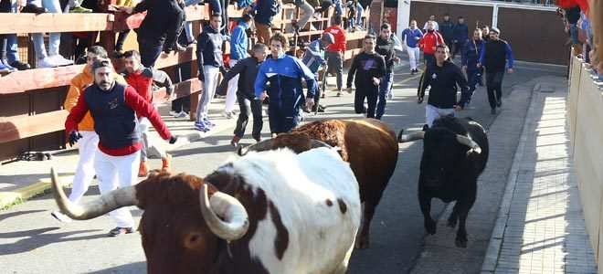 Encierro Valdemorillo 2019