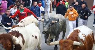 Encierro de Miura