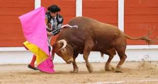 Toros en Guadalajara 2019