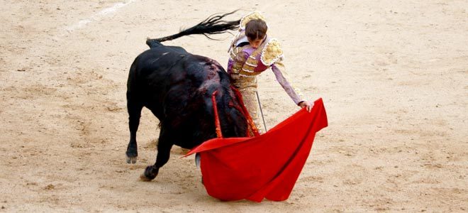 Novillada de Las Ventas