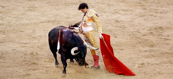 Torero Roca Rey