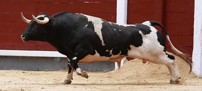 Detalles en Las Ventas