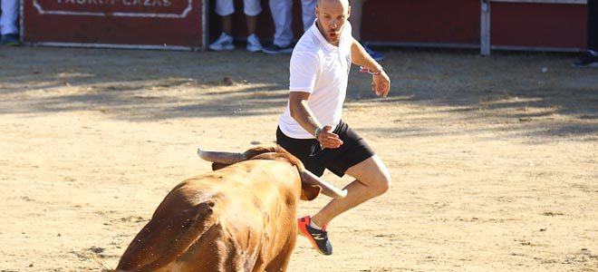 Toros en Pinto