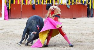 victorino martin en Arganda