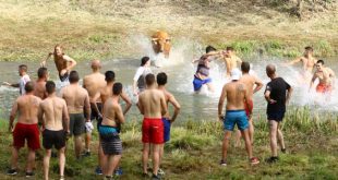 vacas por el tajo