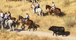 Encierro Brihuega 2019