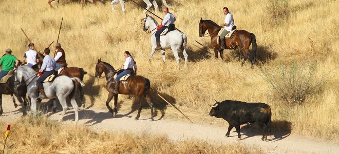 Encierro Brihuega 2019