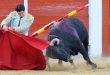 corrida primavera Brihuega