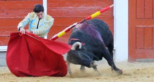 corrida primavera Brihuega