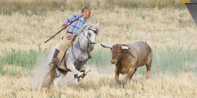 encierro campo Trillo