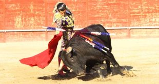 toros en Trillo 2019