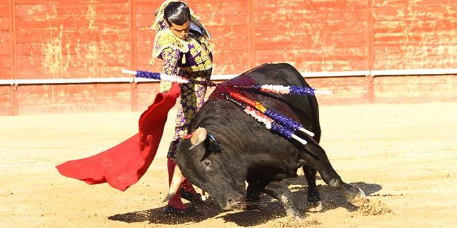 toros en Trillo 2019