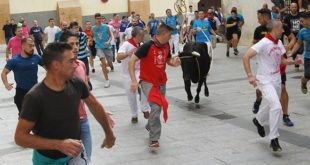 Vacas Cuenca 2019