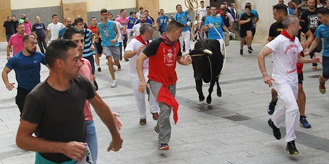 Vacas Cuenca 2019