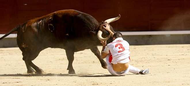 Detalles recortadores