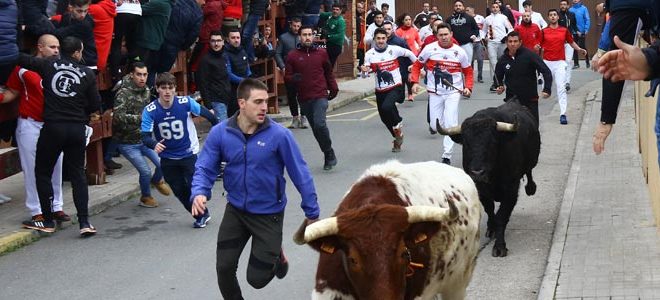 Encierro en Valdemorllo 2020