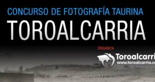 fconcurso de fotografía taurina 2021