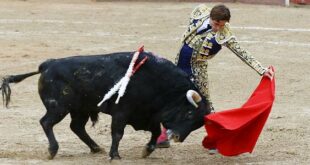 Curro de la Casa en Trillo