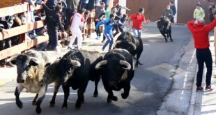 encierro del sábado en Valdemorillo