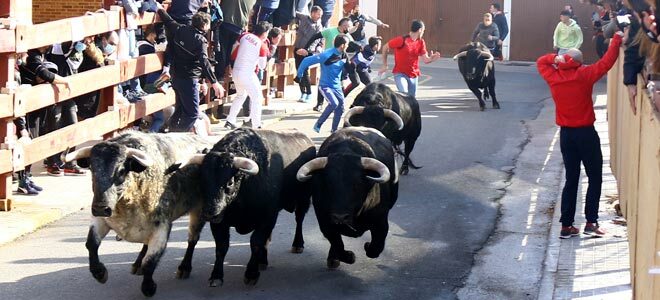 encierro del sábado en Valdemorillo