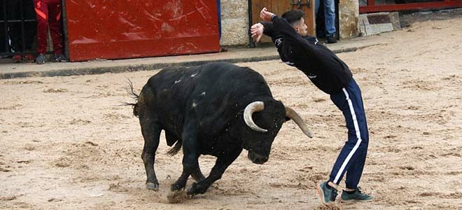 Capea y encierro en chiloeches