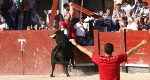 Capea en Colmenar de Oreja