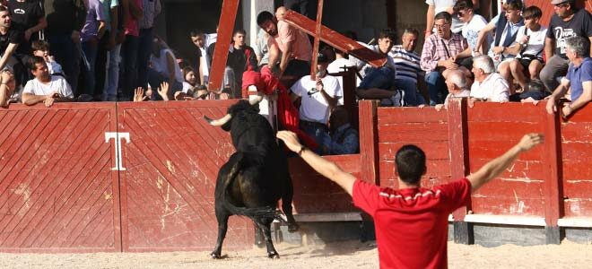 Capea en Colmenar de Oreja