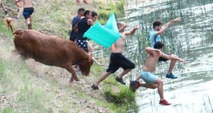 Vacas por el Tajo 2022