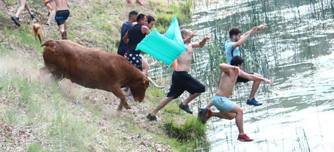 Vacas por el Tajo 2022