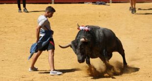 capea en Perales de Tajuña