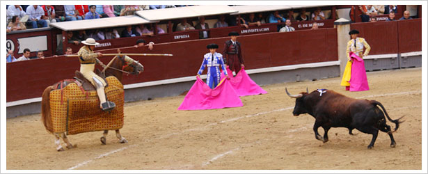 El Toro de Madrid