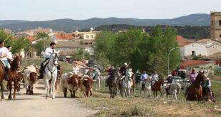 Trashumancia Azañón