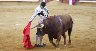 Corrida de toros en Cuenca 2023