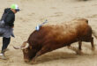 Arganda del Rey capea