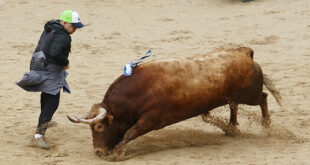 Arganda del Rey capea