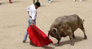 capea en las ventas 2024