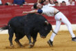 recortes en torrejón