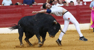 recortes en torrejón
