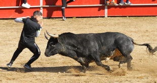 Capea Ajalvir