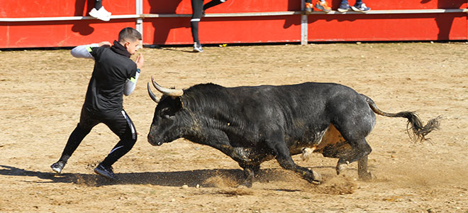 Capea Ajalvir